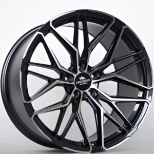 Forzza Stone Black Magic Face Polished