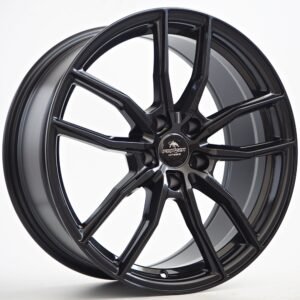 Forzza Sigma Black Magic