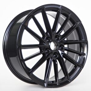 tera swca01 19inch black